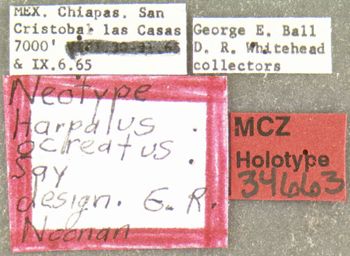 Media type: image;   Entomology 34663 Aspect: labels